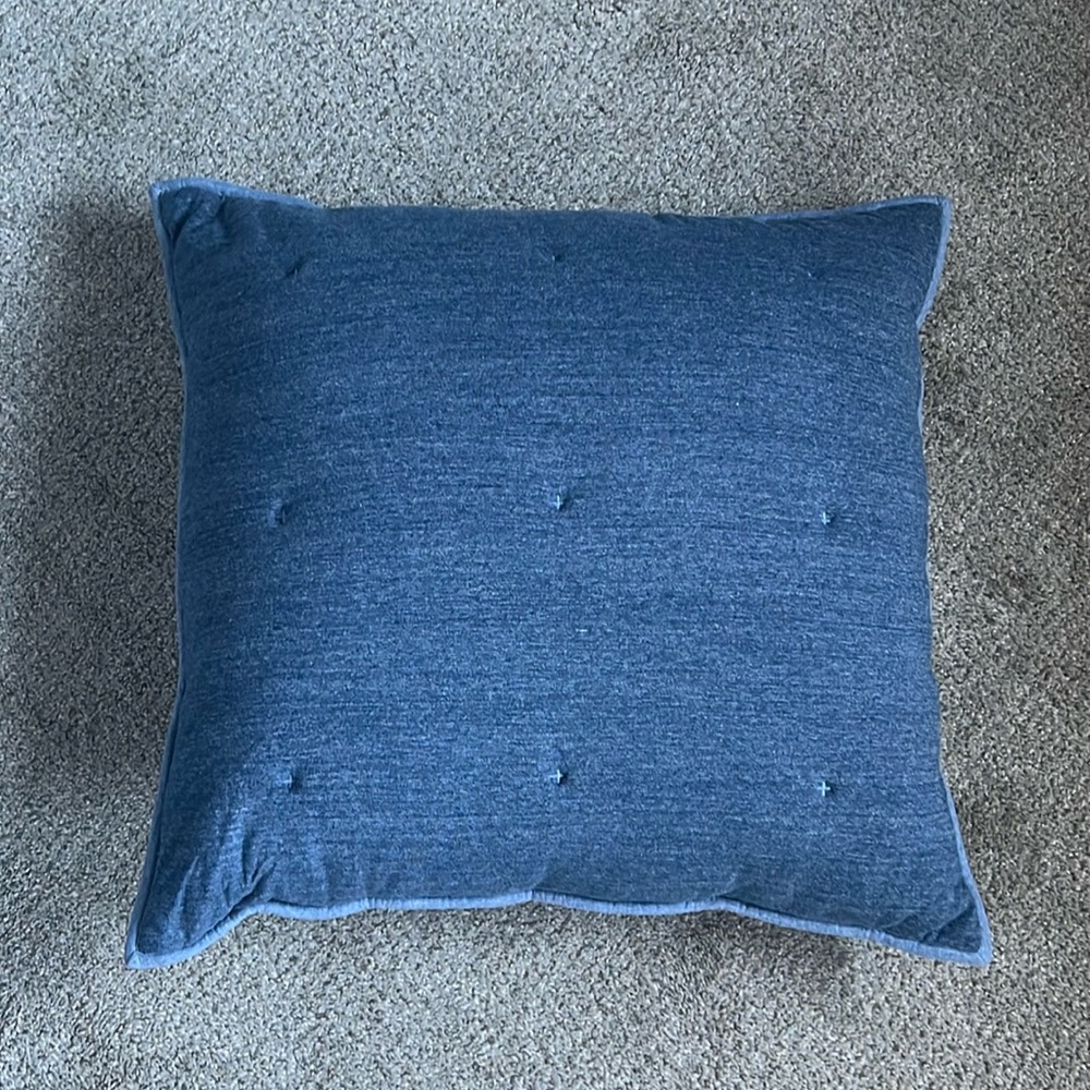 West Elm Tencel Euro Sham Set